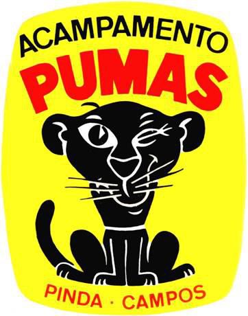 acampamento-dos-pumas logo g